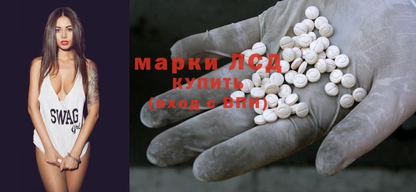 стаф Осташков