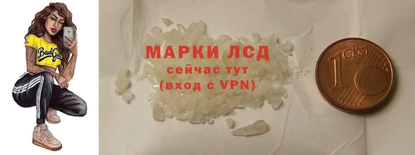 СК Пересвет
