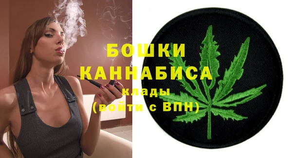 стаф Осташков